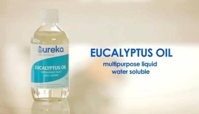 澳洲 Eureka 水溶性尤加利精油500ml