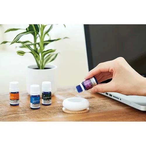 日本 Aroma 精油 擴香石 附木盤