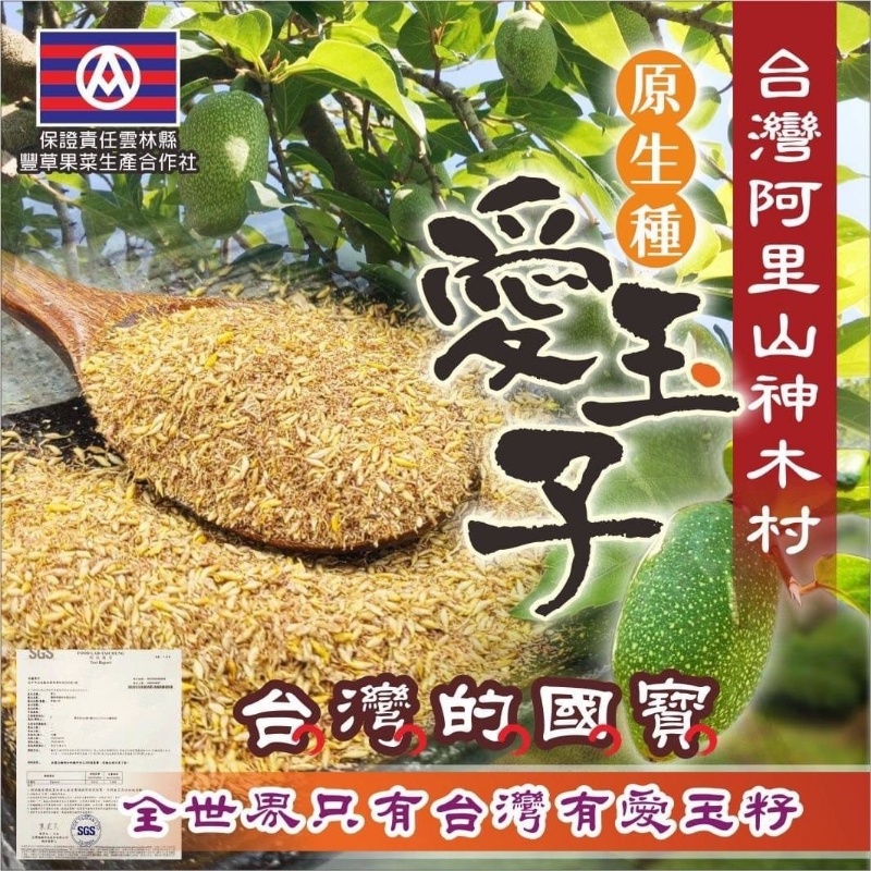 🇹🇼阿里山⛰️神木村野生天然愛玉籽 增量版(20g)2包組