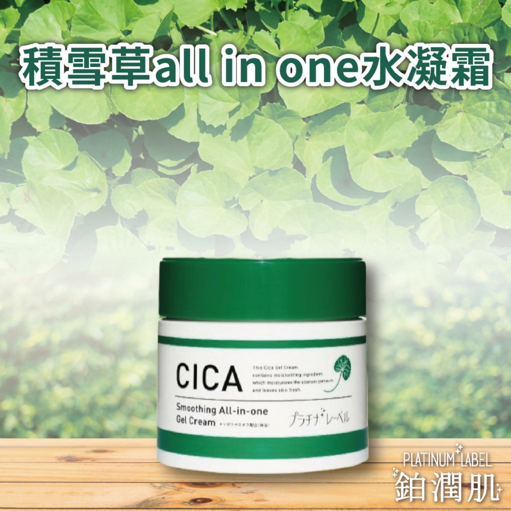日本CICA鉑潤肌 積雪草all in one水凝霜 300g