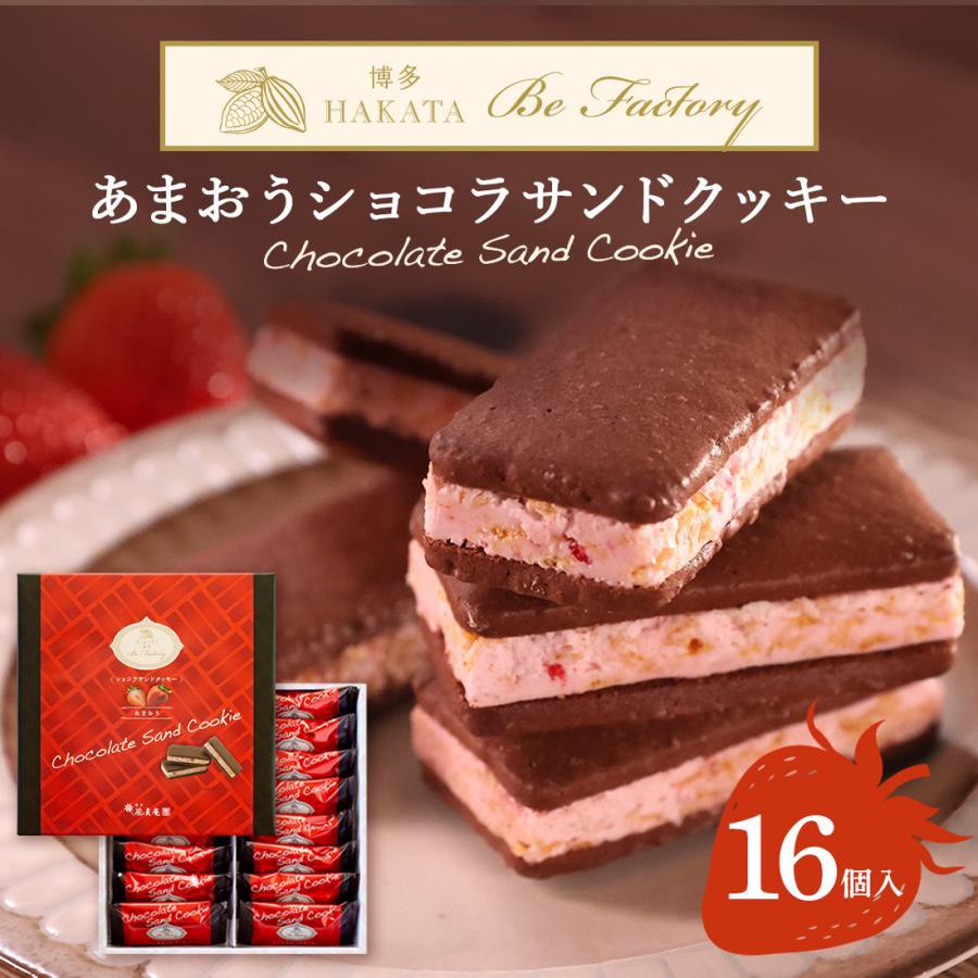 日本博多・風美庵 天王巧克力三明治餅乾