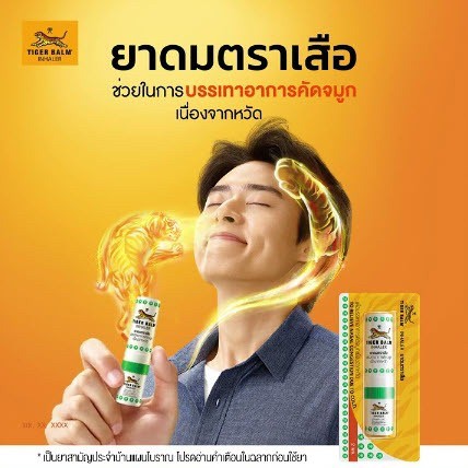泰國 老虎牌鼻通 Tiger balm inhaler 一組6支