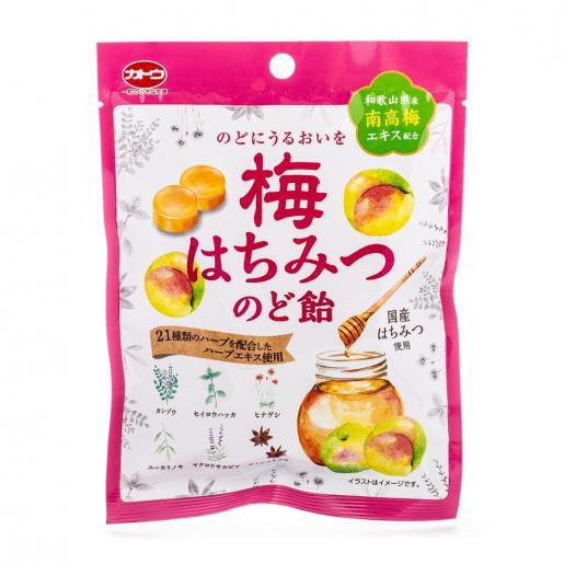 日本加藤製菓 水果喉糖 58g「一組2包」