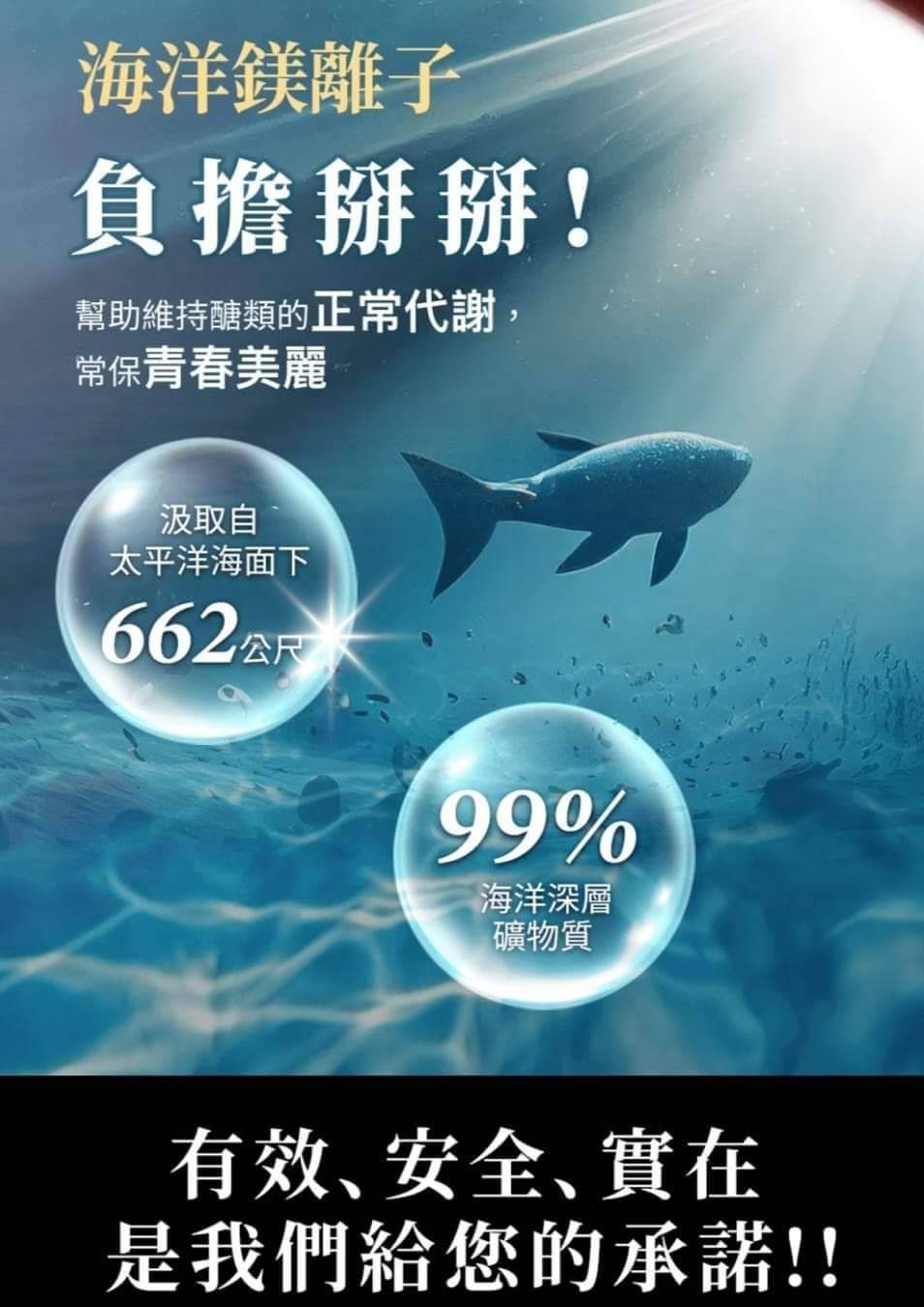 更多圖片