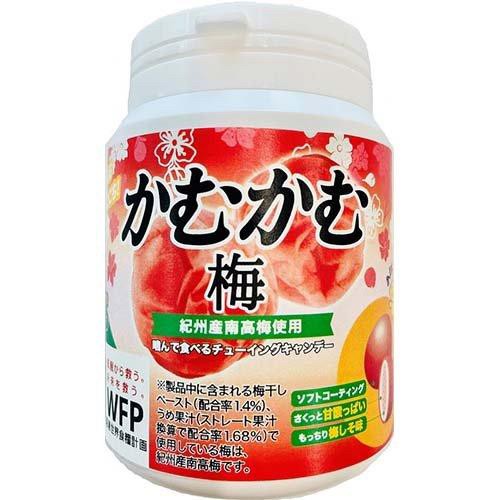 日本三菱 UME QQ糖 水果嚼糖 120g