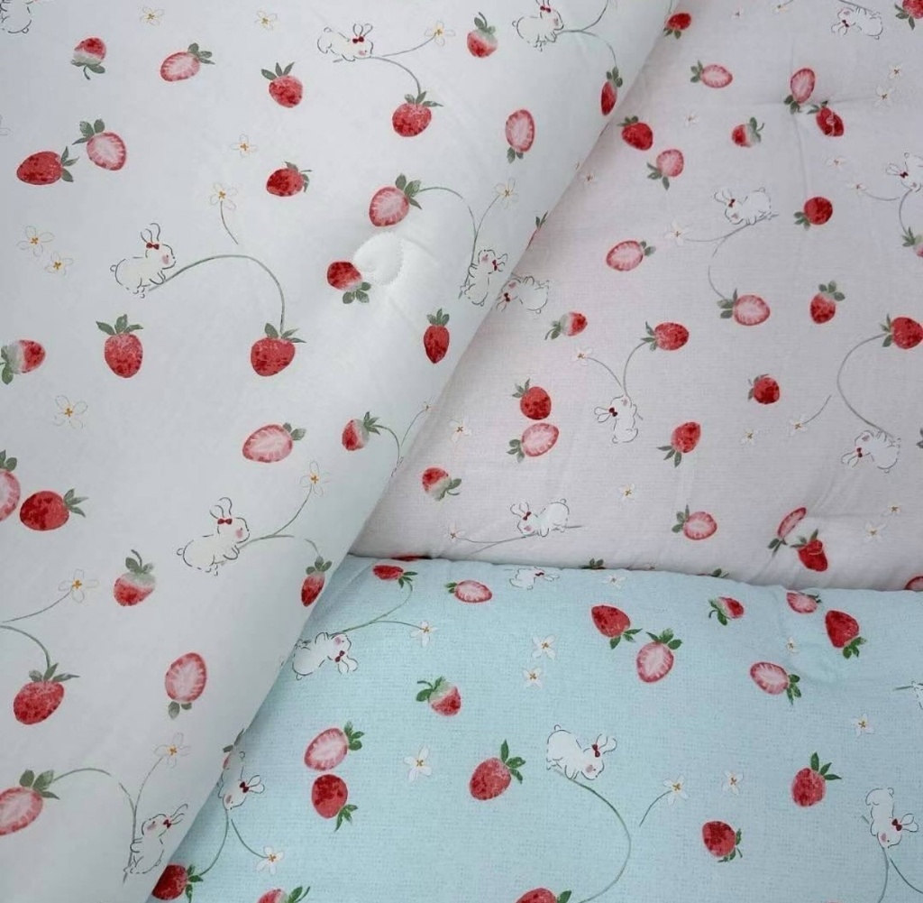 韓國??Leona Berry 暖心草莓冬被