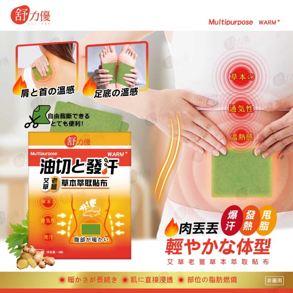 肉丟丟 艾草老薑草本萃取貼布(5片/組) 《一組兩包》