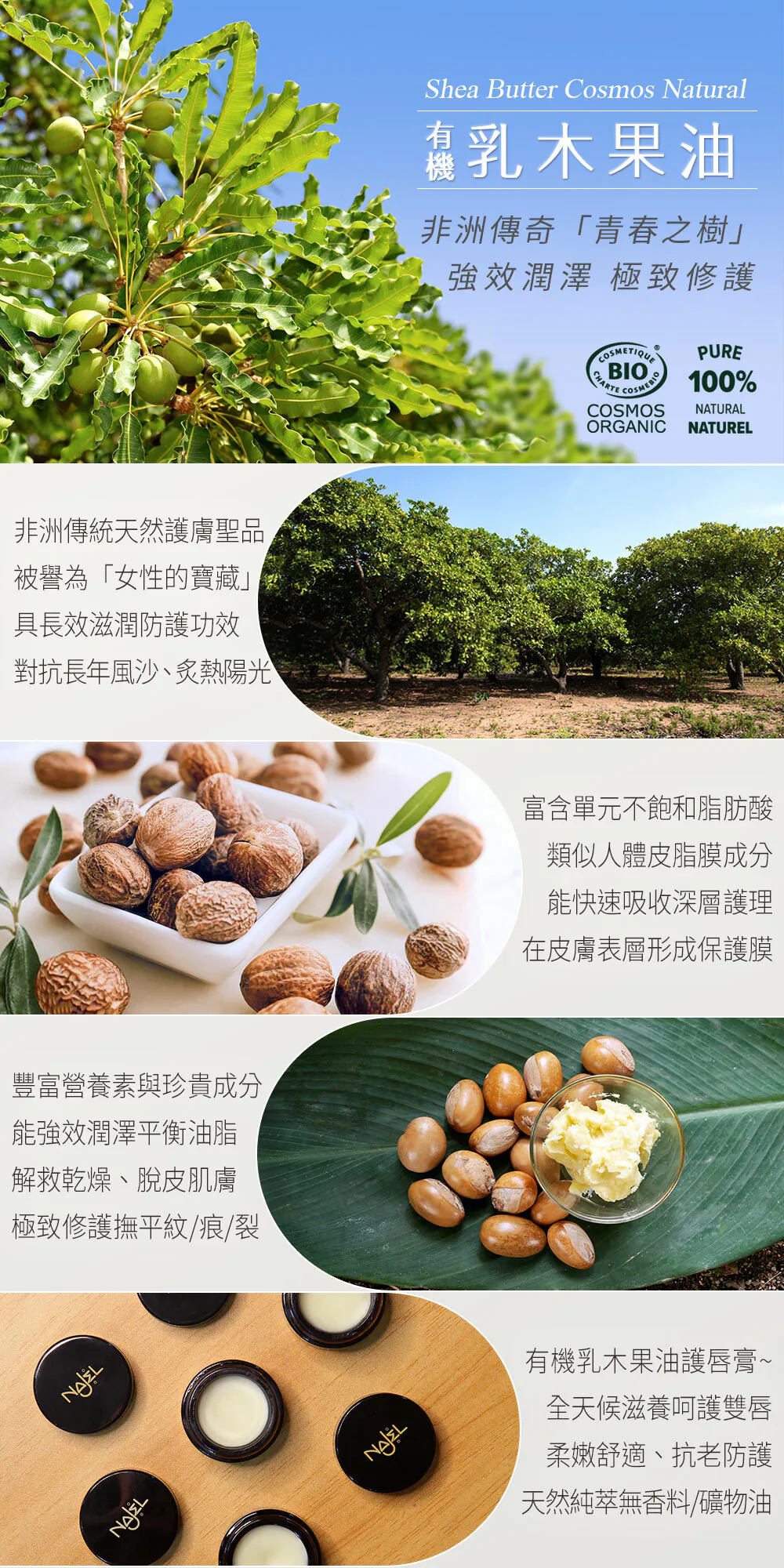 法果Najel 有機乳木果油修護脣膏系列 12g