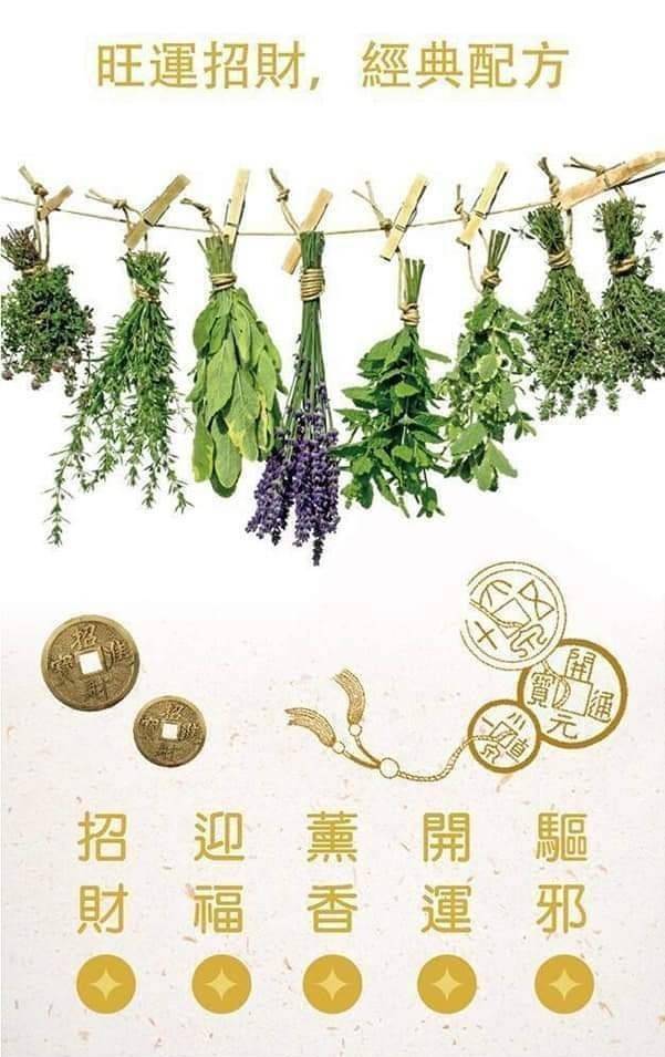 更多圖片
