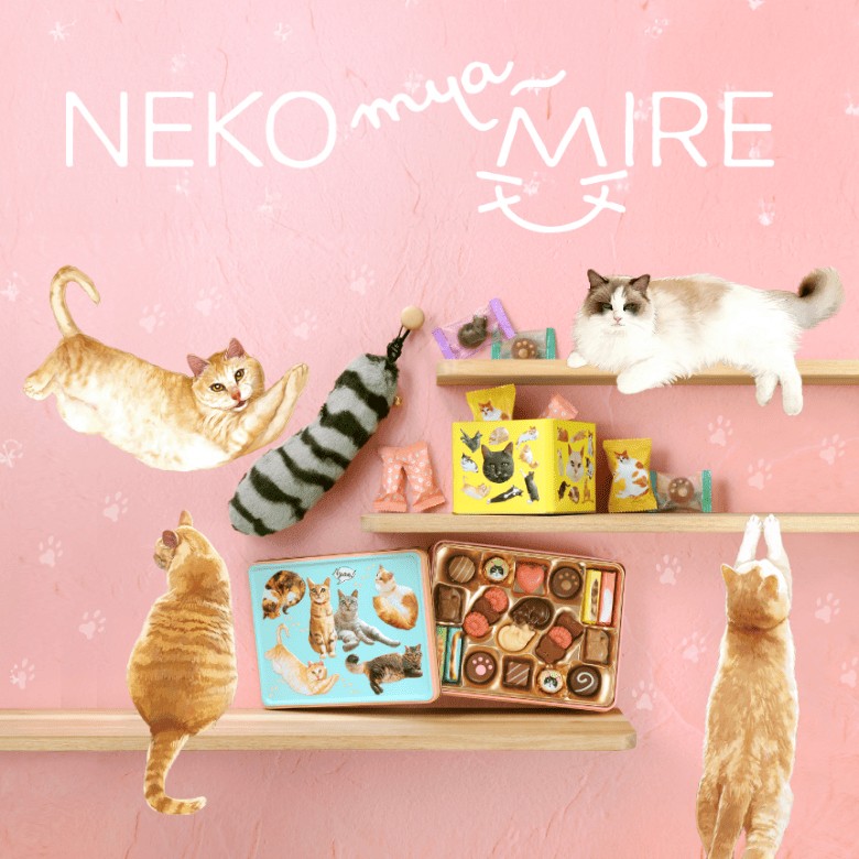 日本 Mary’s 情人節限定NEKO咪雅貓趣巧克力禮盒