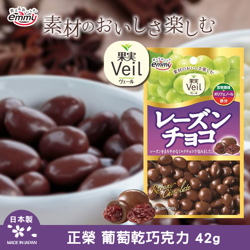 日本正榮 葡萄乾巧克力 42g《一組三包》
