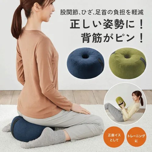 654339日本??多功能姿勢矯正硬質靠墊