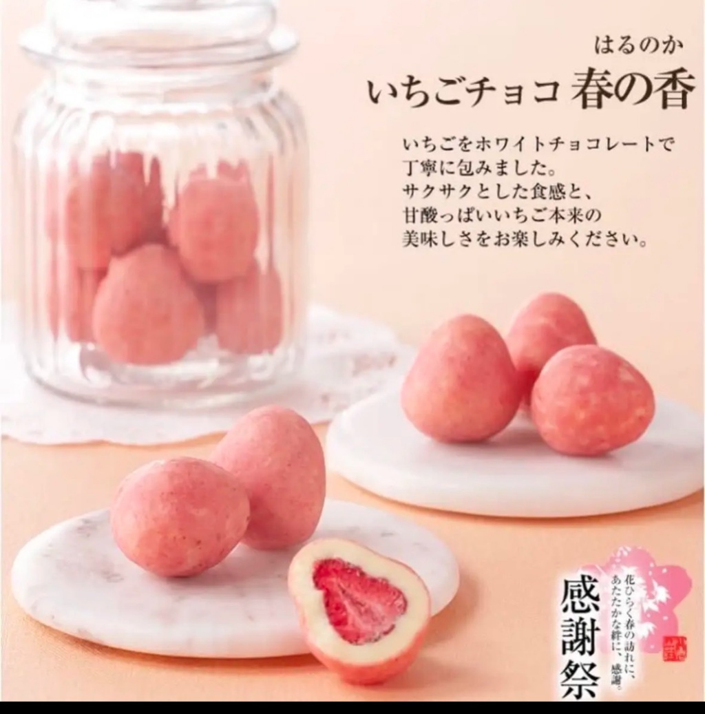 【日本小倉山莊】2025春天感謝祭?春季限定「草莓巧克力 春之香（はるのか）」?60g