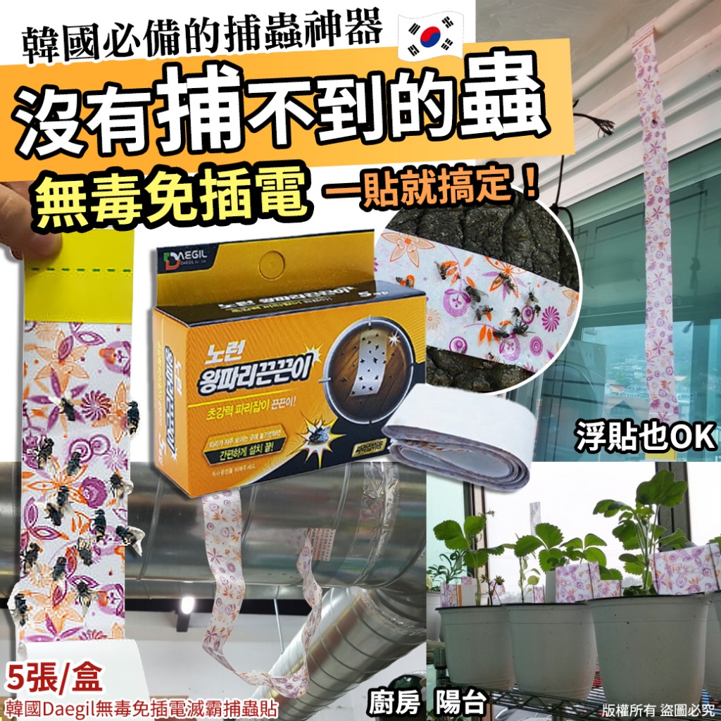 韓國Daegil無毒免插電滅霸捕蟲貼5貼 《一組兩盒》