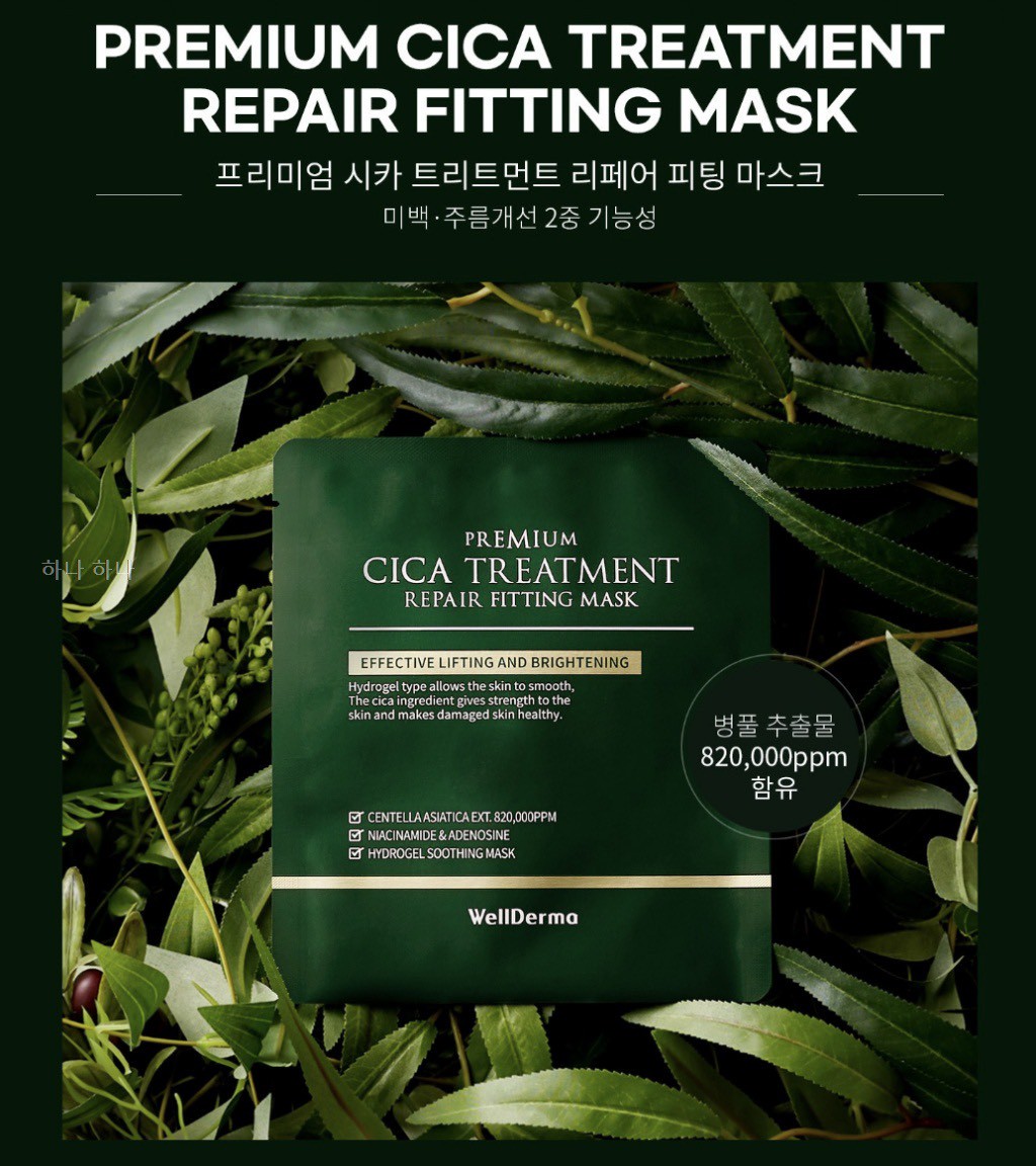 韓國WellDerma 夢蝸 積雪草精華護理面膜4片裝