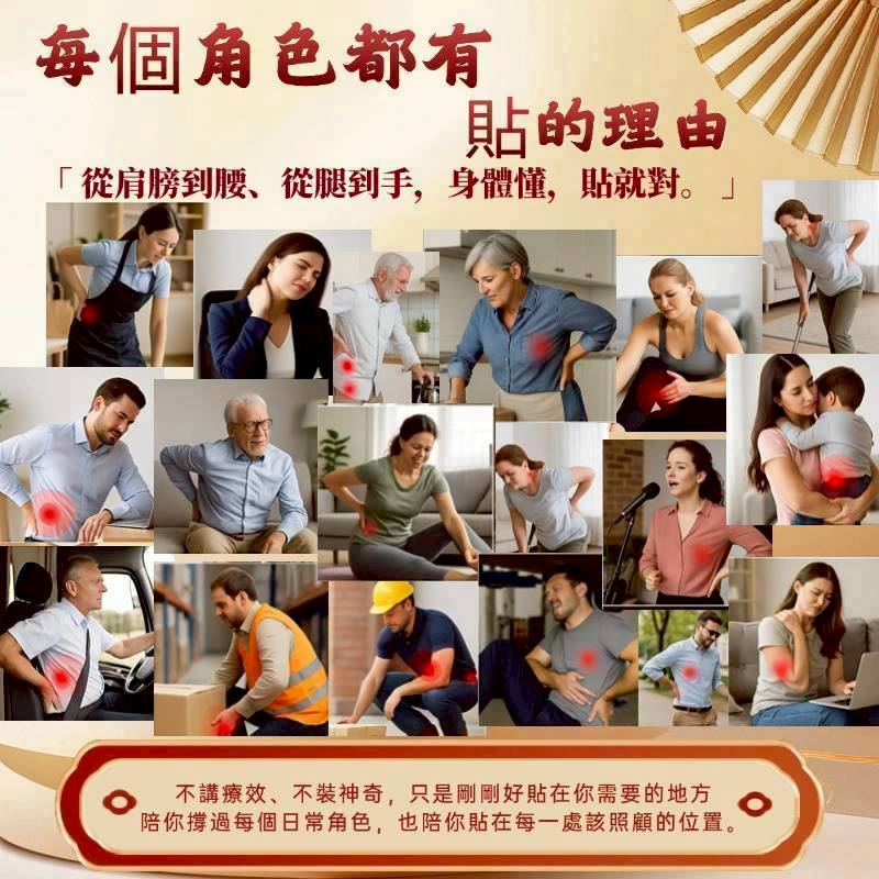 金門一條根🔥一條根貼布50片(小)