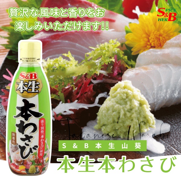 日本S&B本生山葵300g