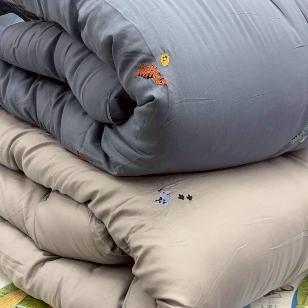韓國🇰🇷100%天絲刺繡恐龍冬被