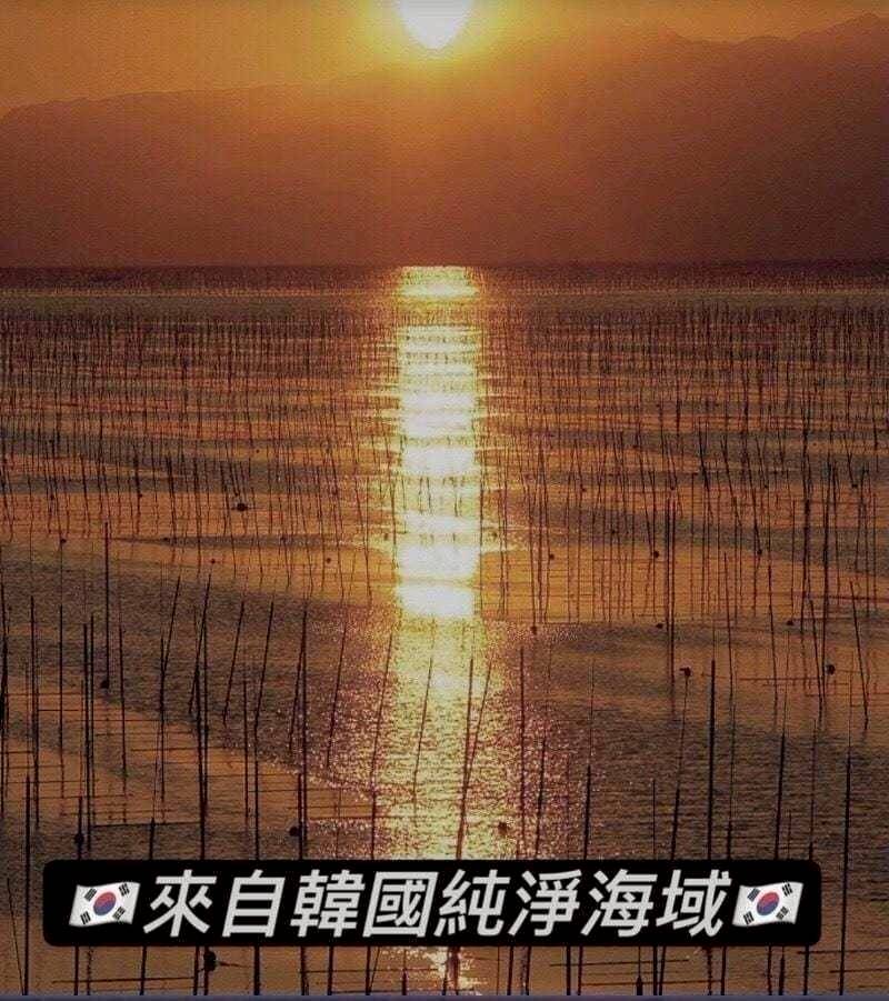 更多圖片
