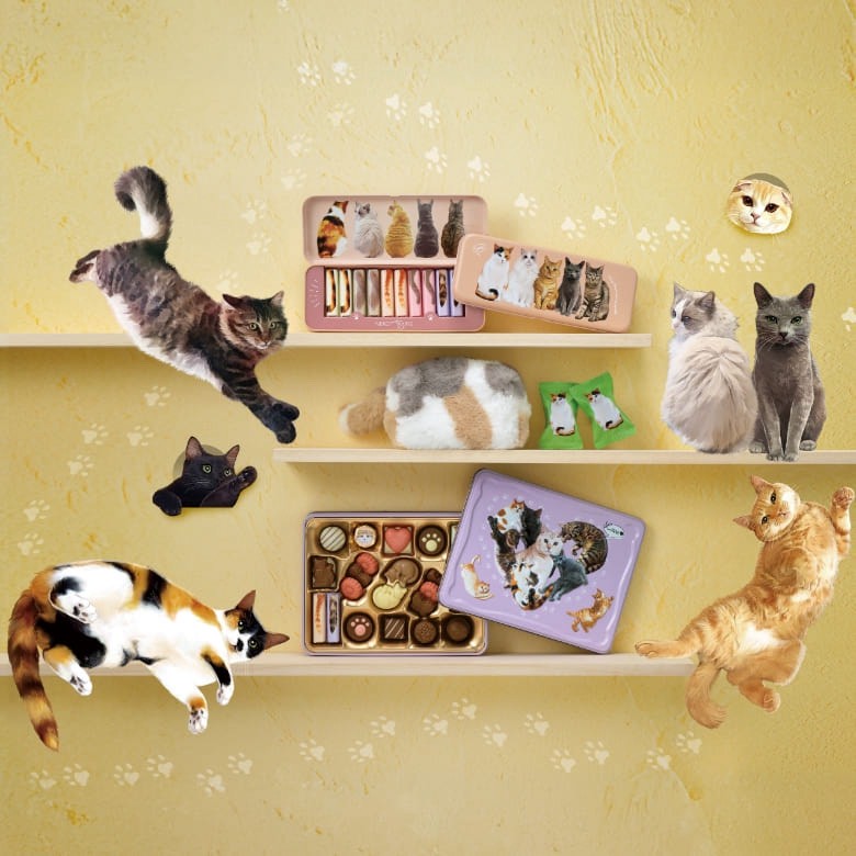 日本🇯🇵限定｜喵星人療癒巧克力鐵盒禮盒