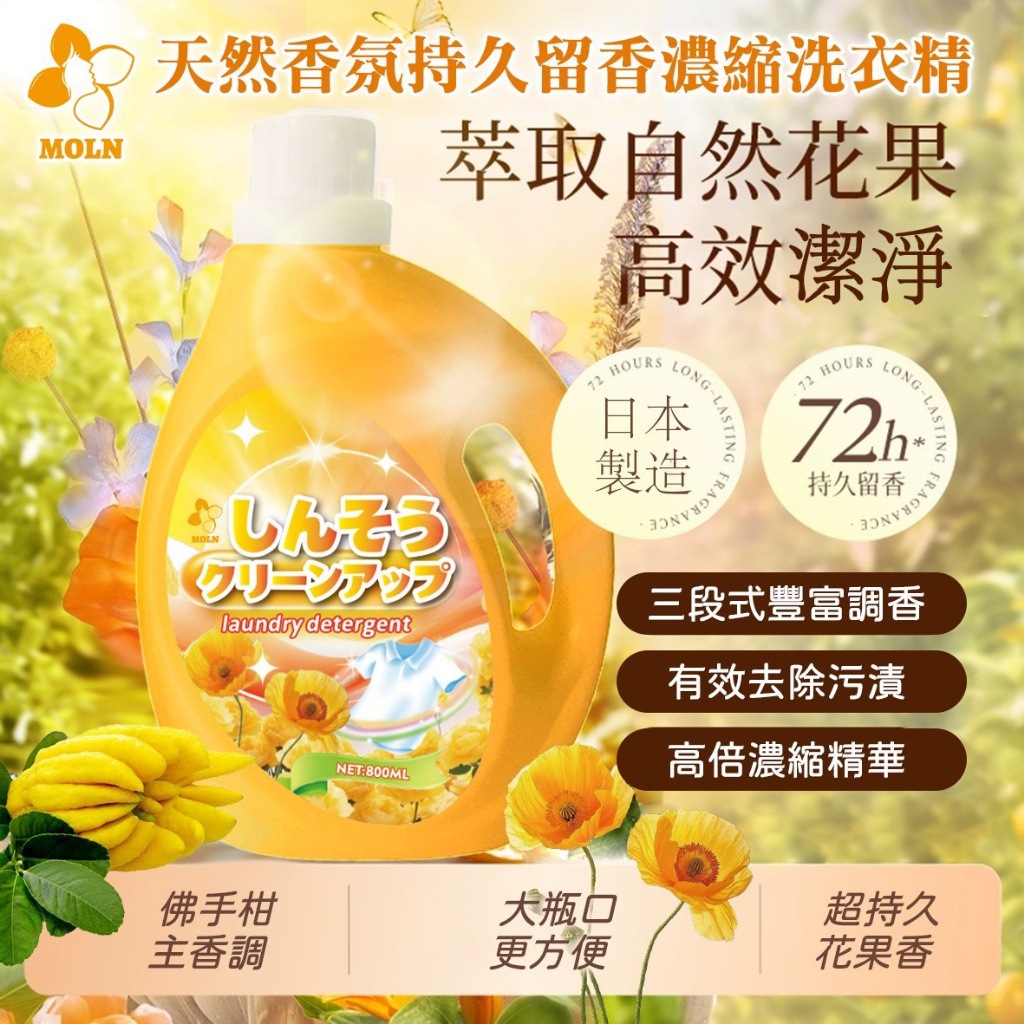 Moln 天然香氛持久留香濃縮洗衣精 800ml《一組2瓶》