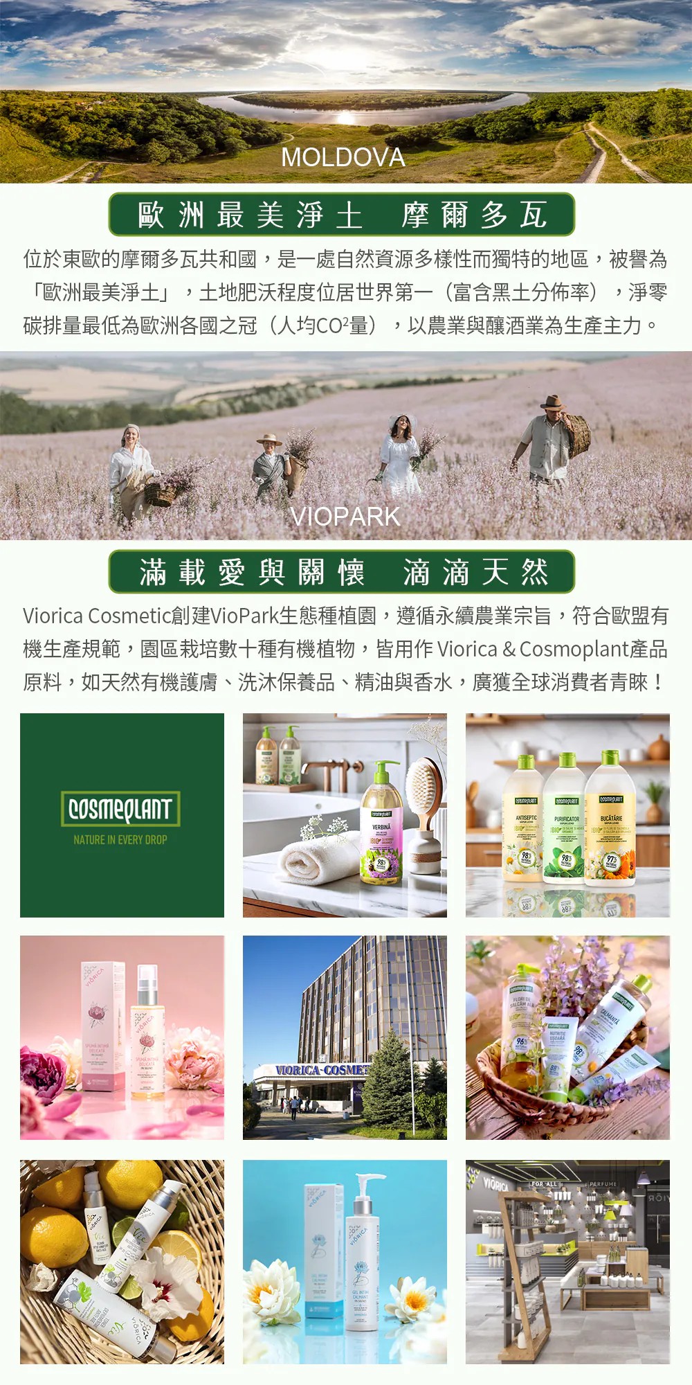 法國Najel 阿勒坡乳液&洗髮精沐浴露 系列